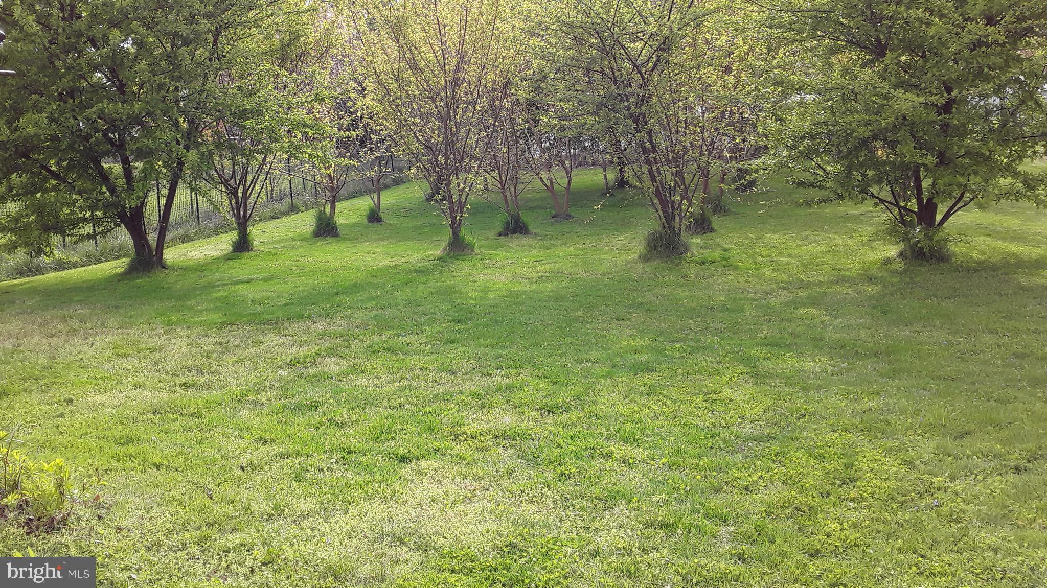 MEADOWVALE - Residential