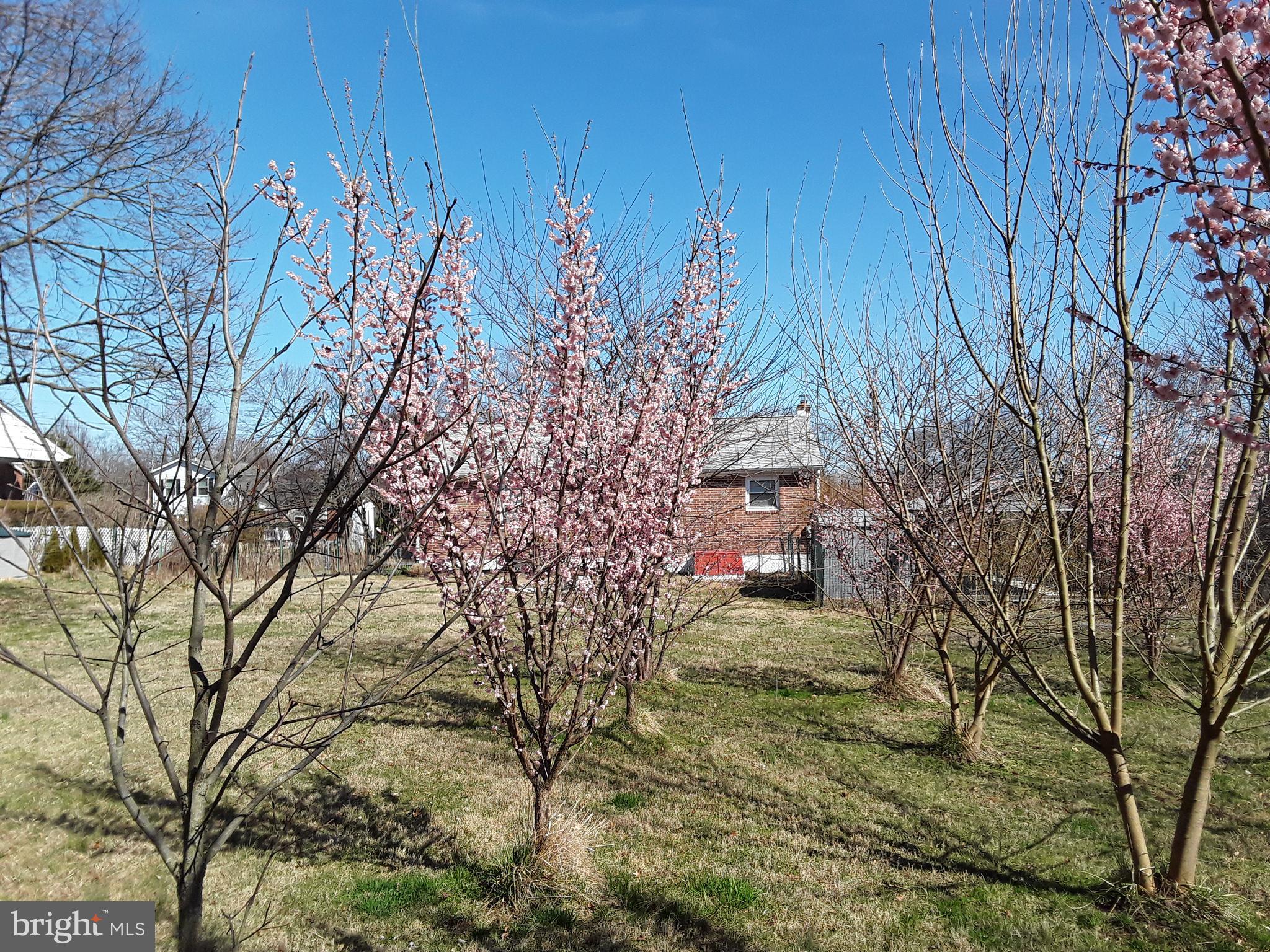 MEADOWVALE - Residential