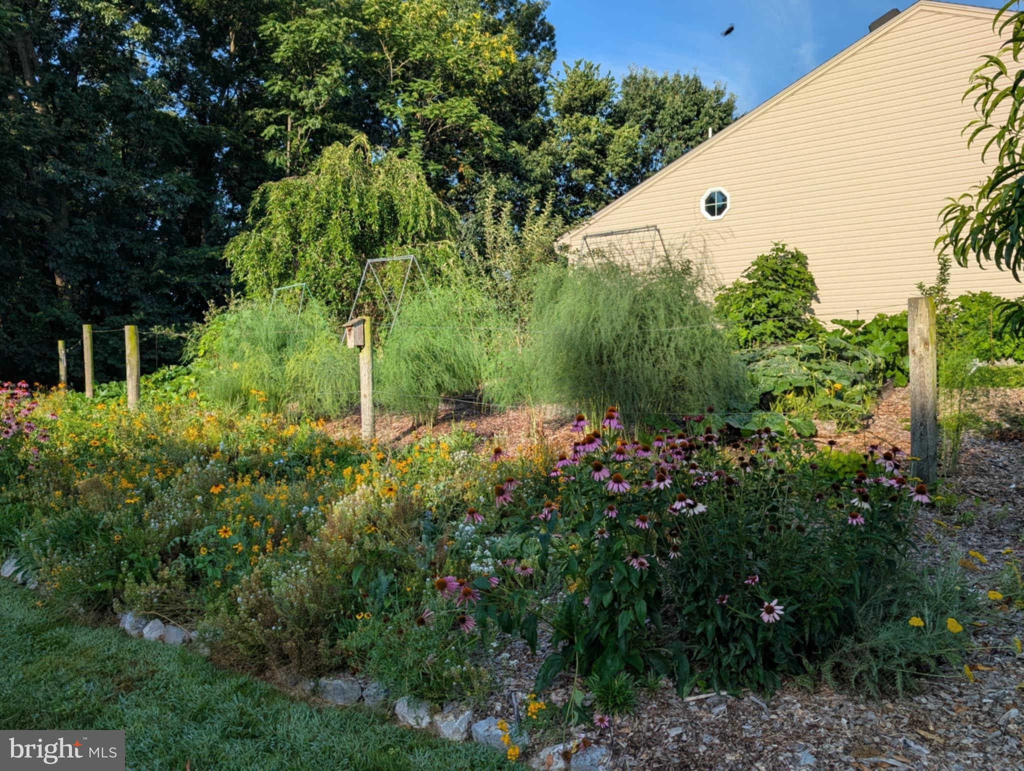 CEDARBROOK - Residential