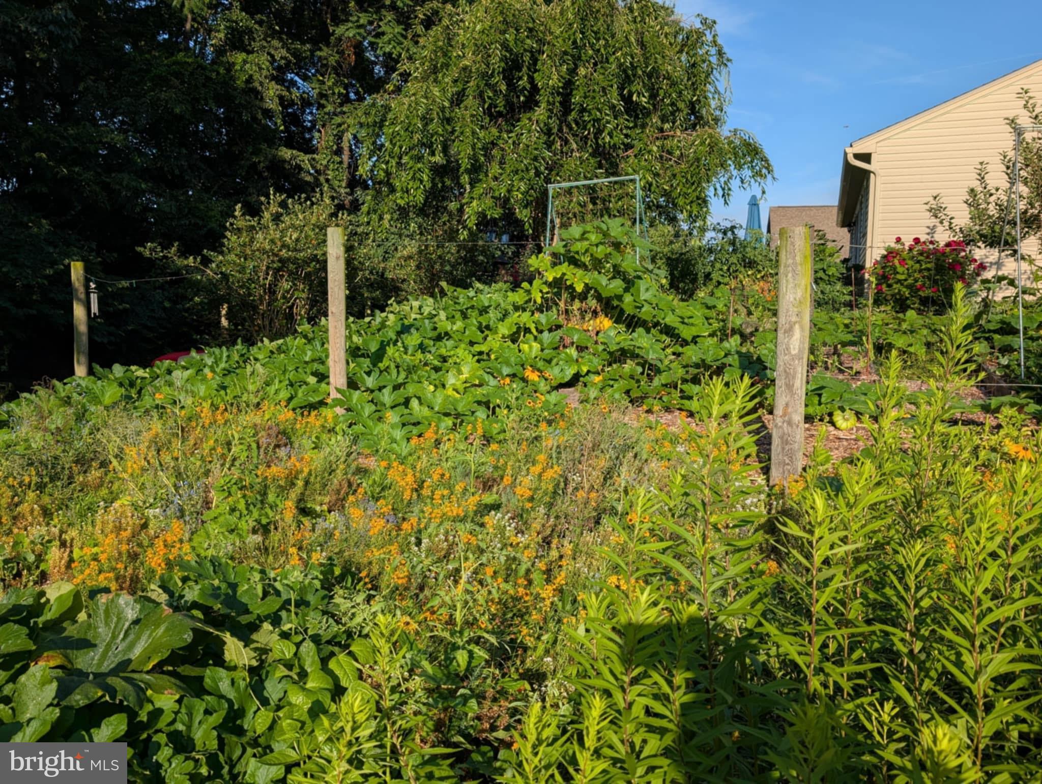 CEDARBROOK - Residential