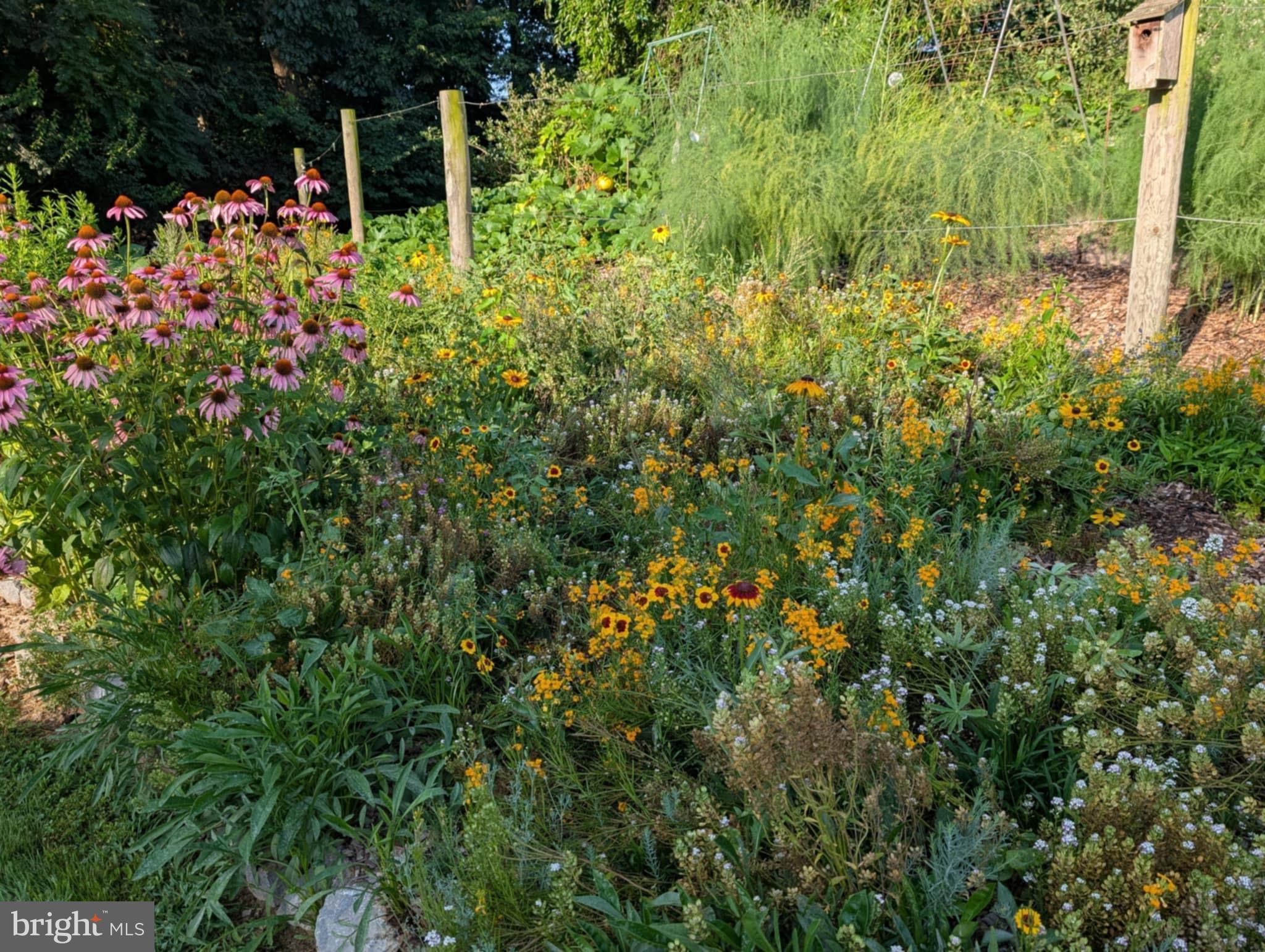 CEDARBROOK - Residential