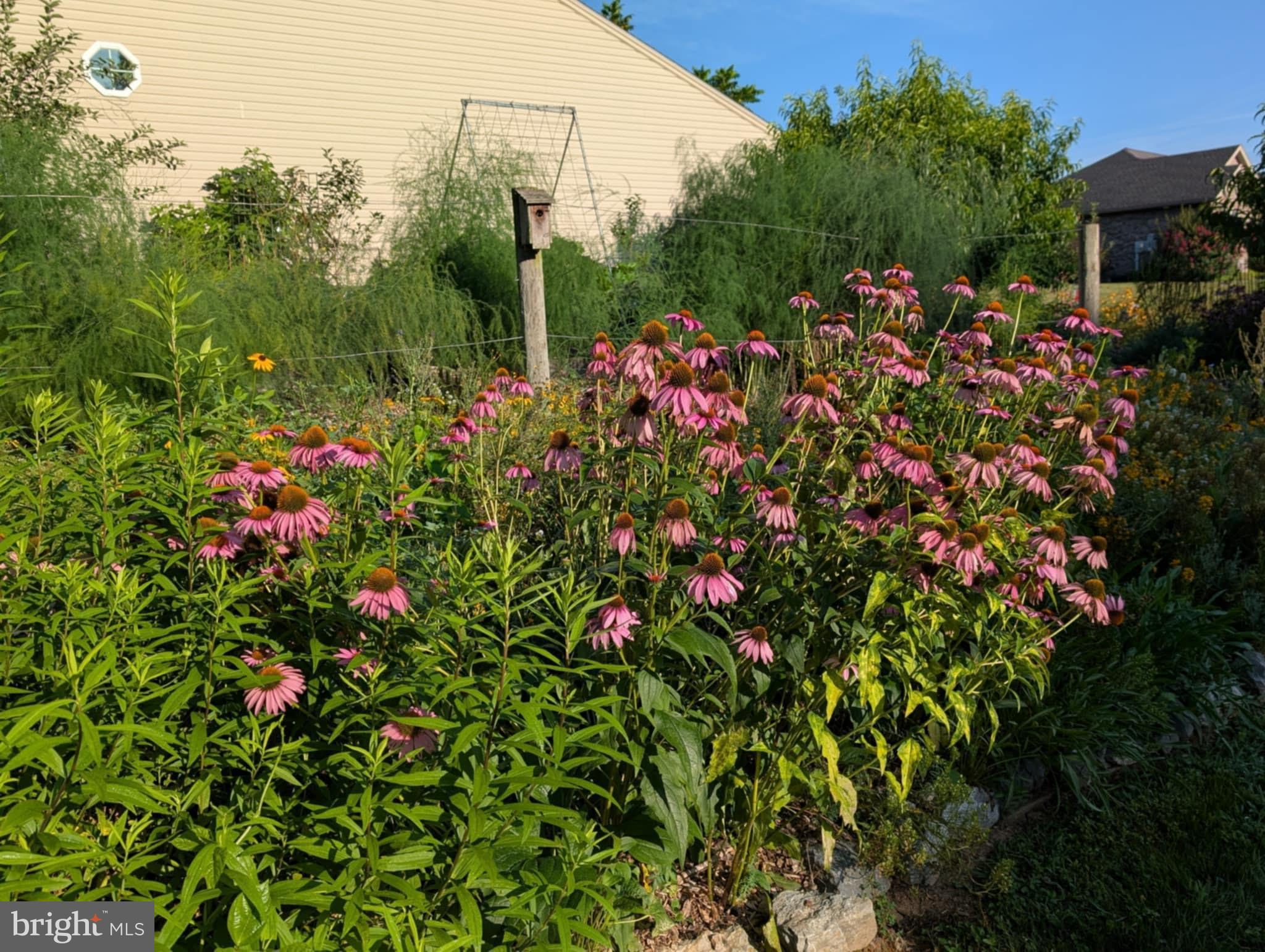 CEDARBROOK - Residential