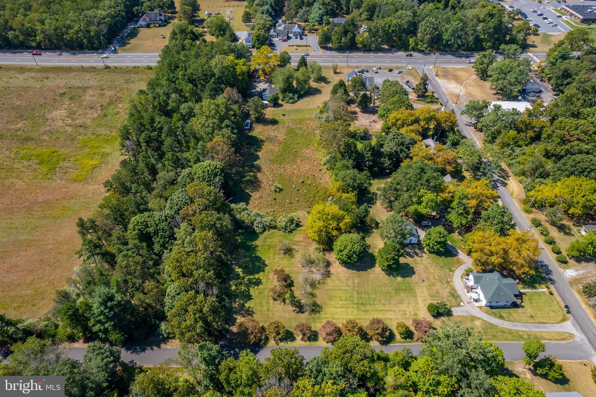 BLUE ANCHOR - Commercial Sale