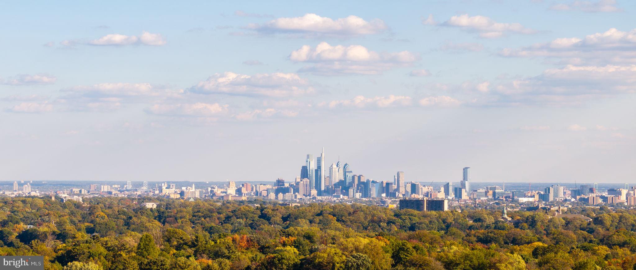 MERION - Residential