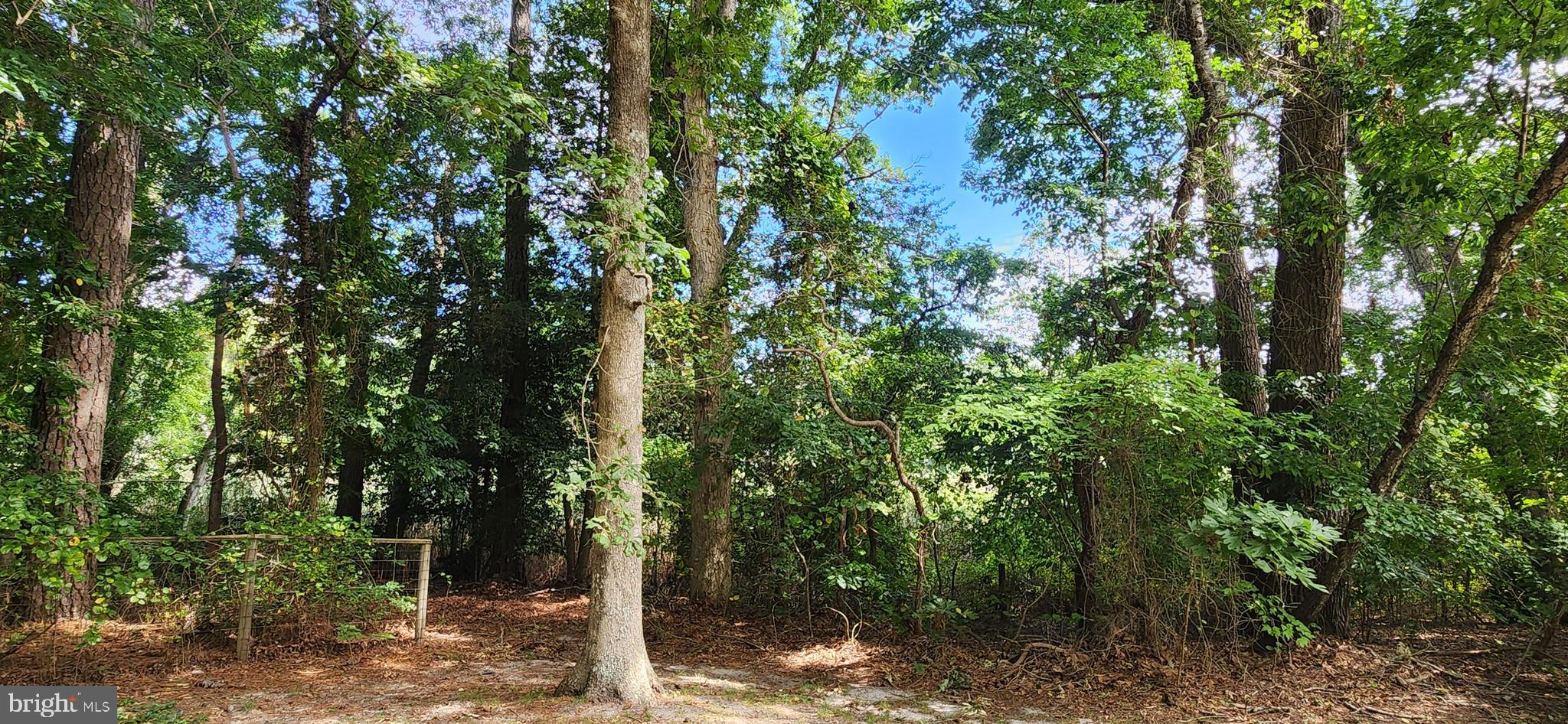 RIVERDALE PARK - Residential