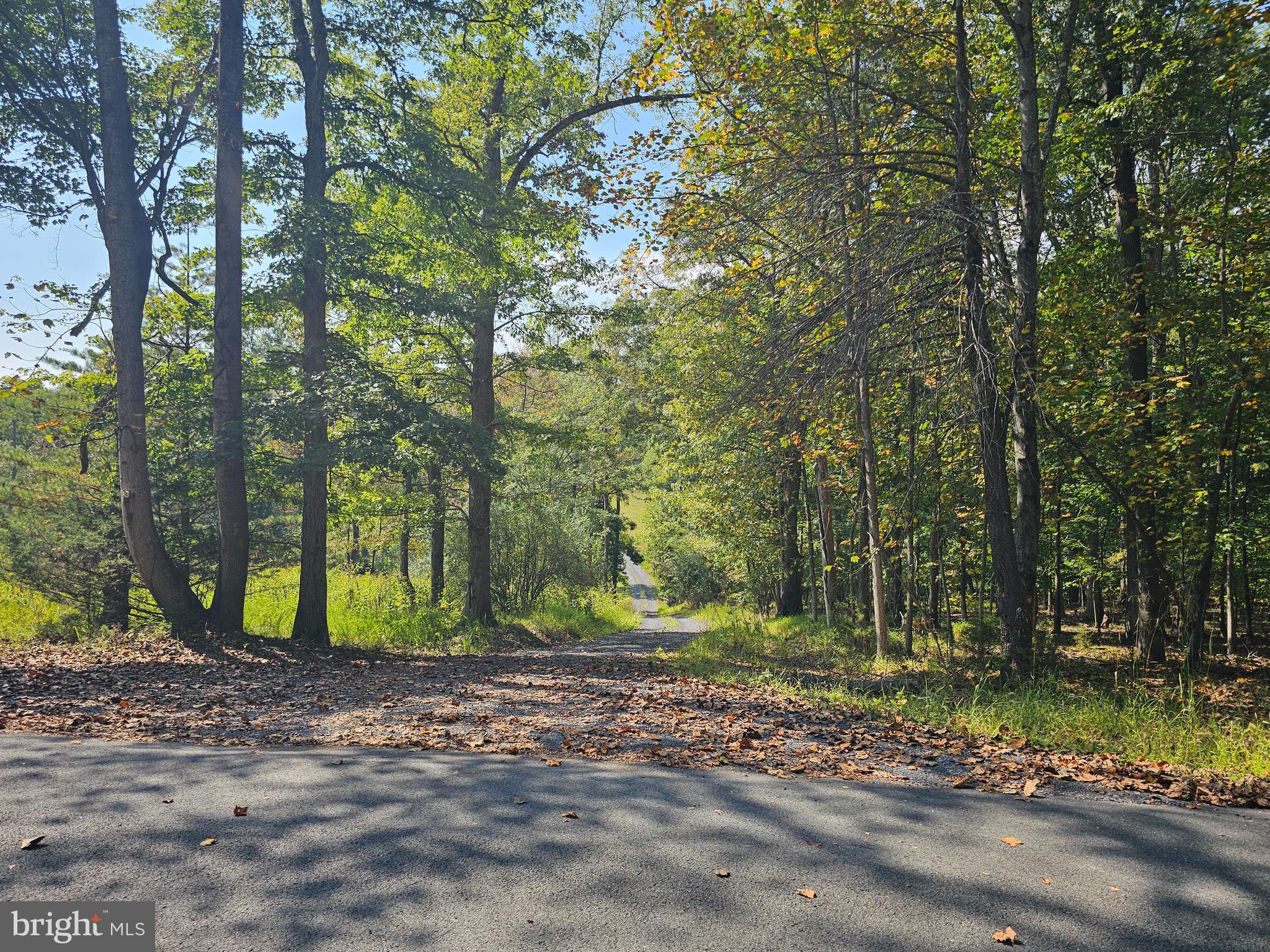 510 WINDY PINES ROAD