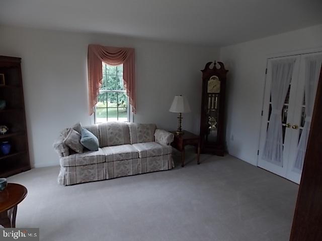 CHESTNUT RUN - Residential