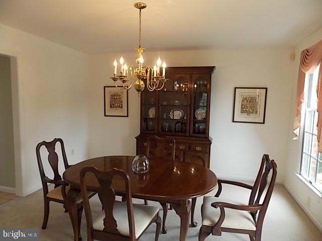 CHESTNUT RUN - Residential