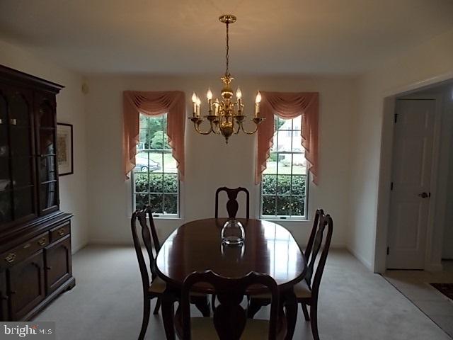 CHESTNUT RUN - Residential