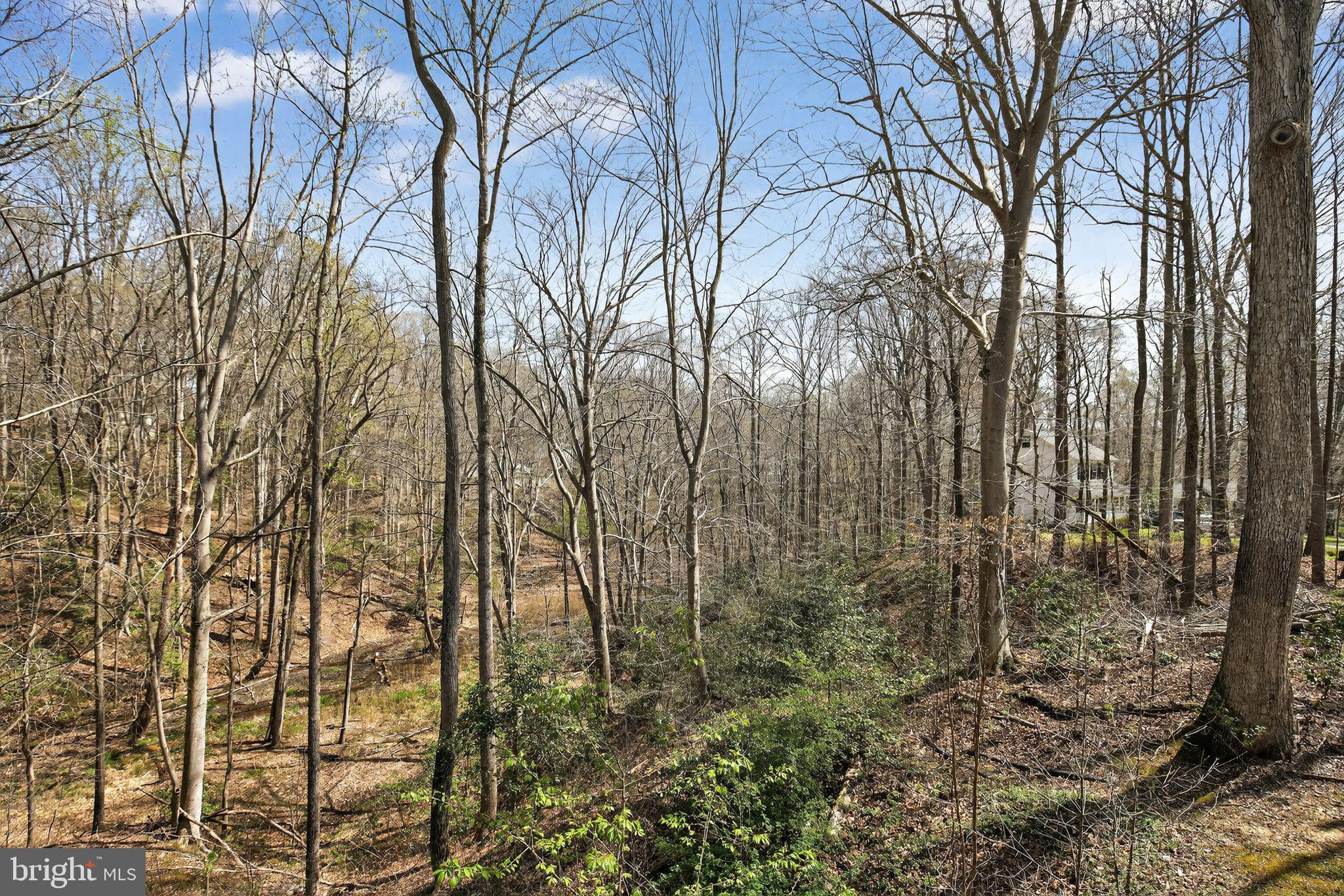 APPLE GREENE - Residential