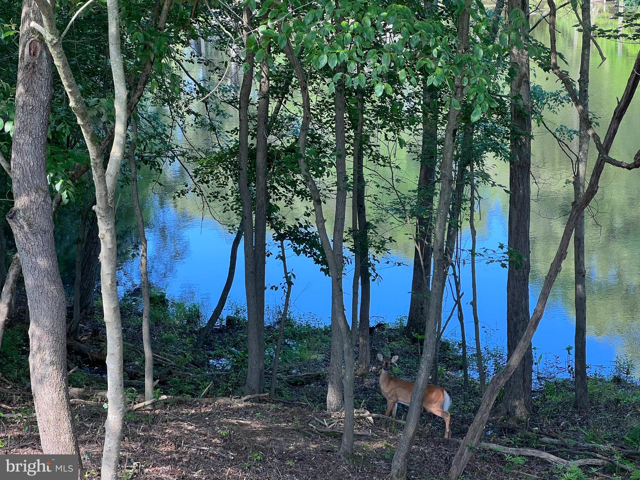 LAKE SHORE - Residential