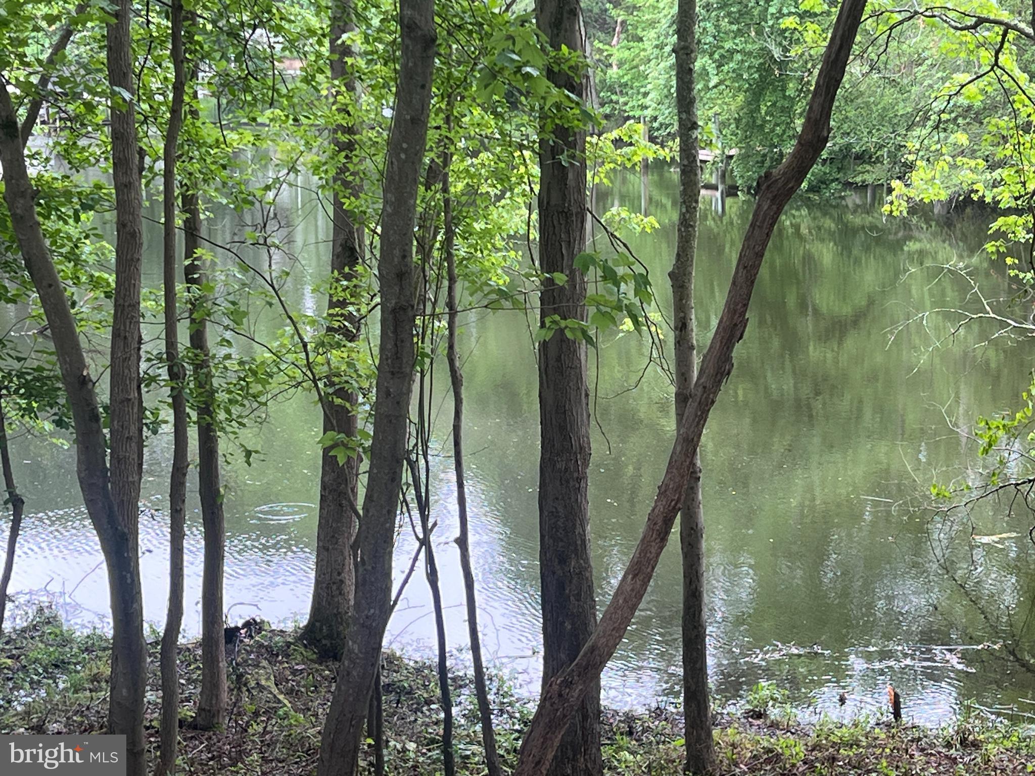 LAKE SHORE - Residential