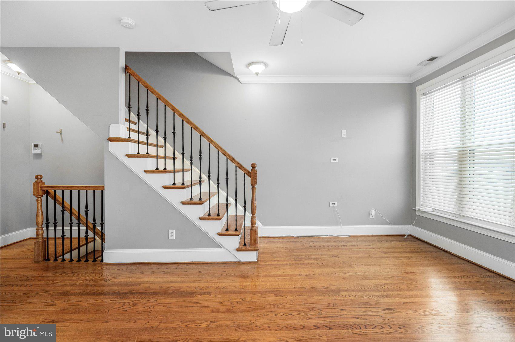 BUTCHERS HILL - Residential Lease