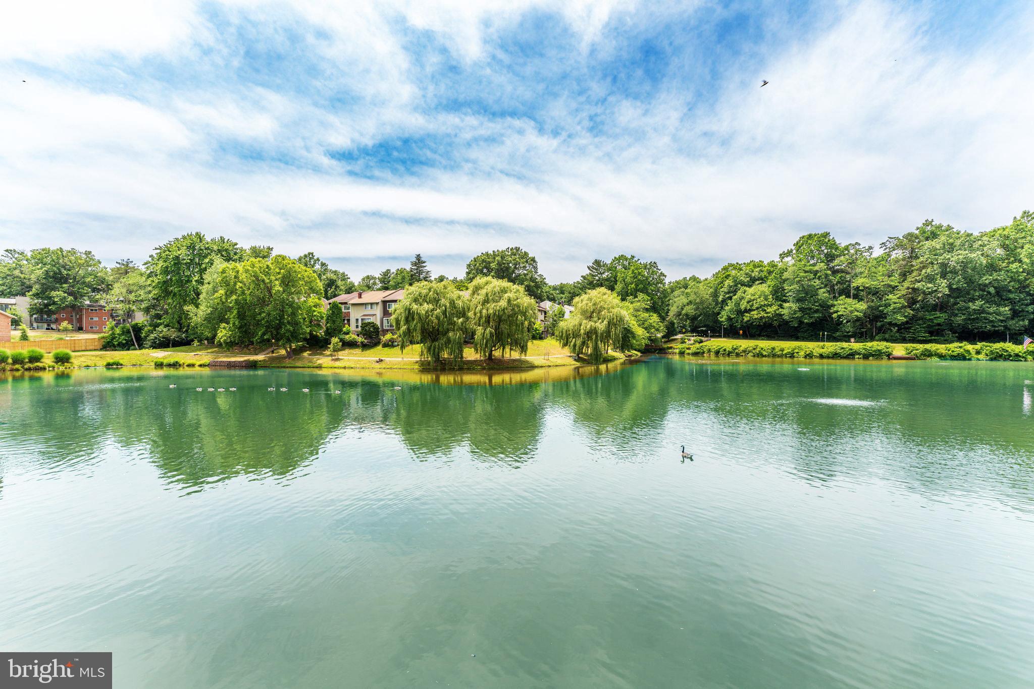 NEW MARK COMMONS - Residential