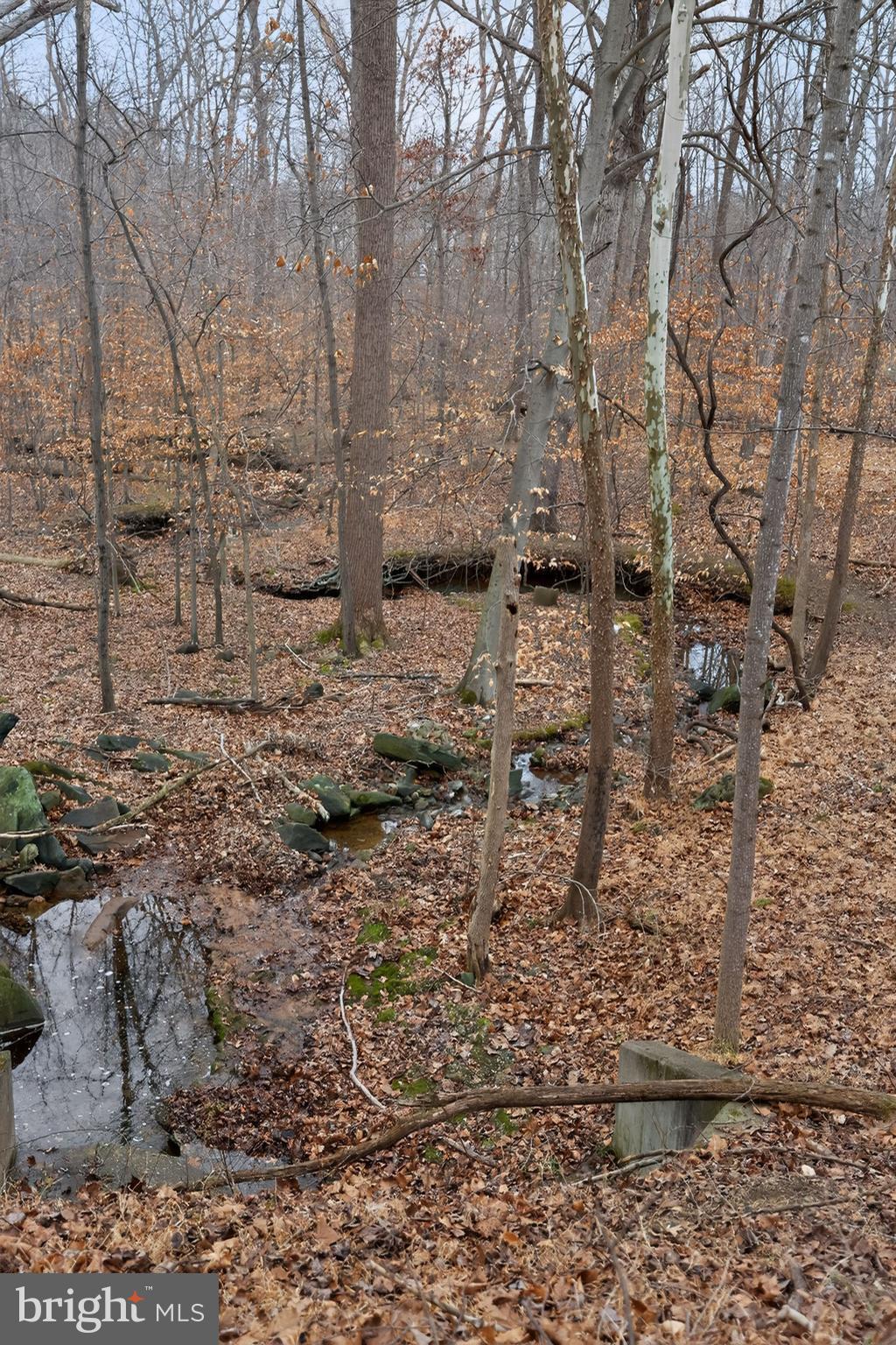 WESTCHESTER CONDOS - Residential