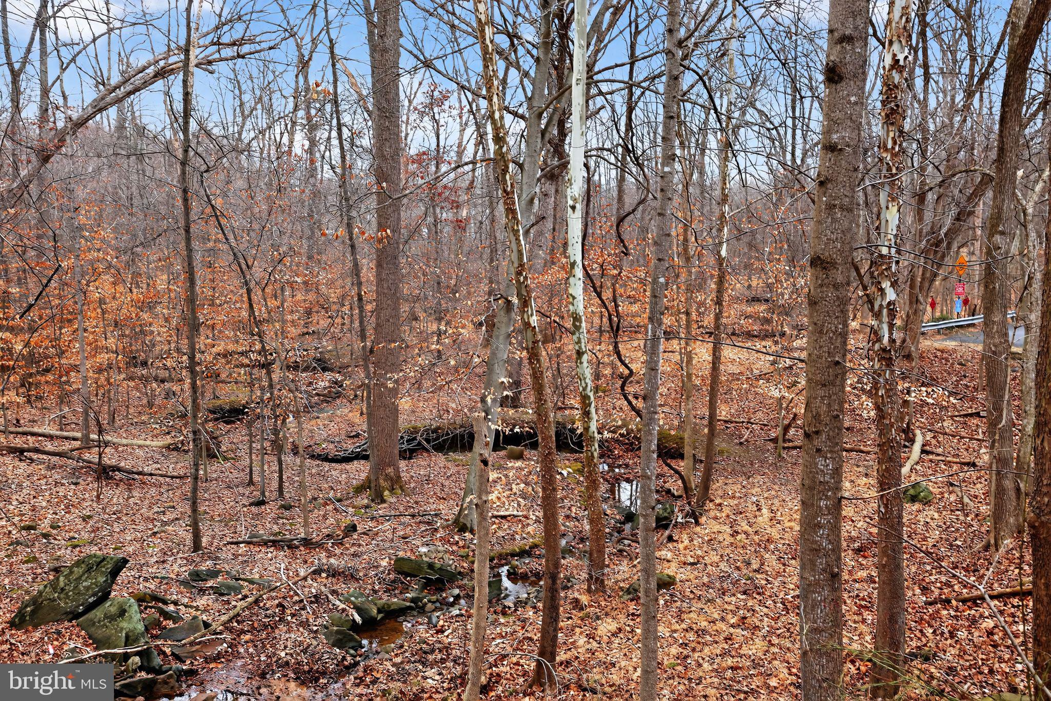 WESTCHESTER CONDOS - Residential