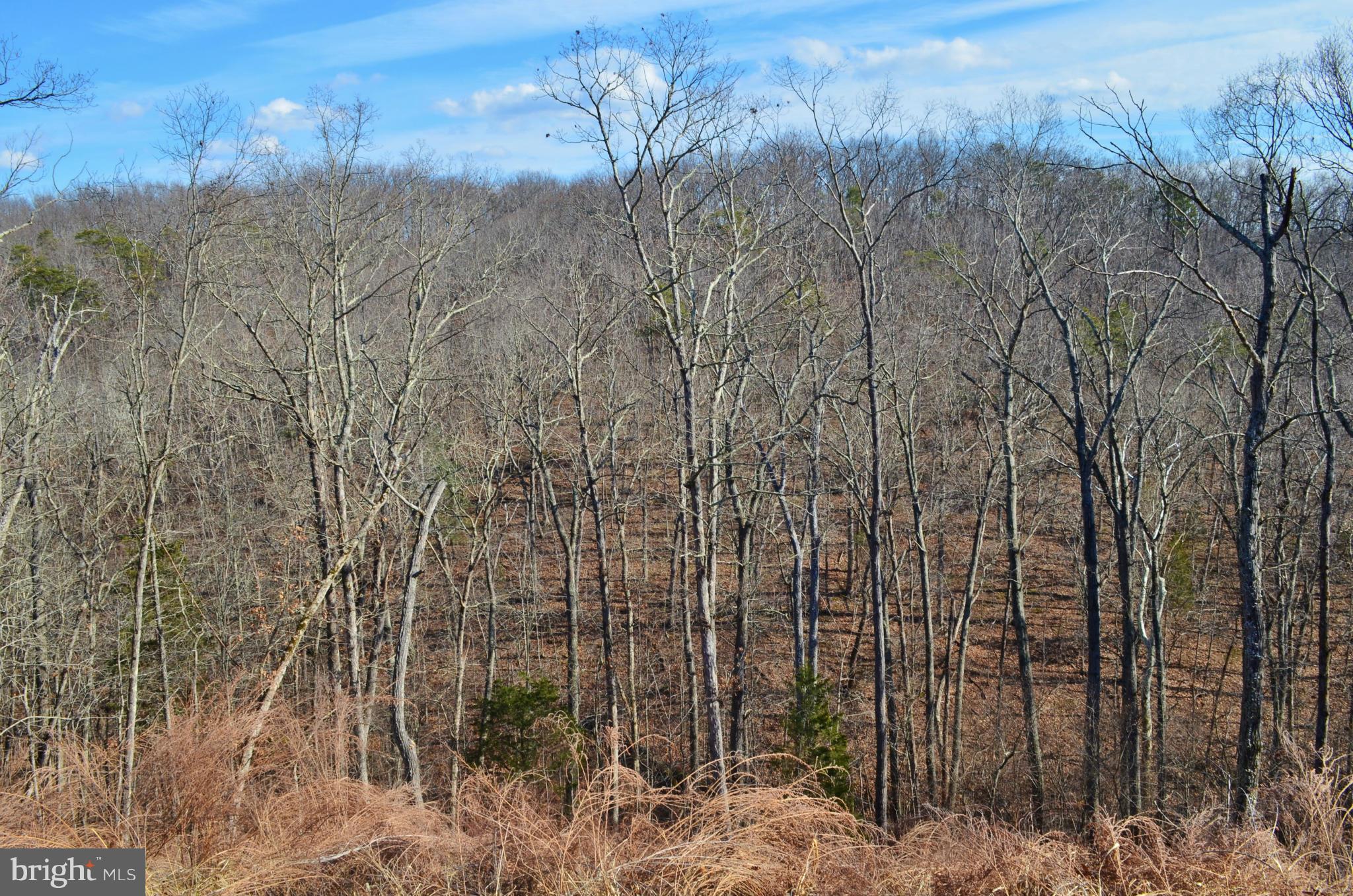 GAFIA ESTATES AT LAKE JOHN - Land