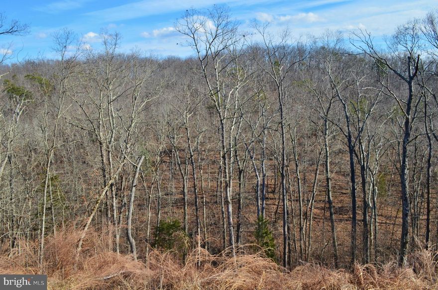 If you are in search of the perfect building lot that provides seclusion yet has easy access with state-maintained roads nearby.  You've found it! Property Manager tells me Tremendous views of the Signal Knob Mountain can be created from your homesite Lot 24 with the clearing of trees! Perfect Dream Home Lot for the commuter looking to escape from the hustle of the city! Whether you want a House-on-the-Hillside Lot surrounded by seclusion, or a lot located close to the Private Common Use area for Lake Access, we have exactly what you're looking for.  Only 3 lots remain out of 41!