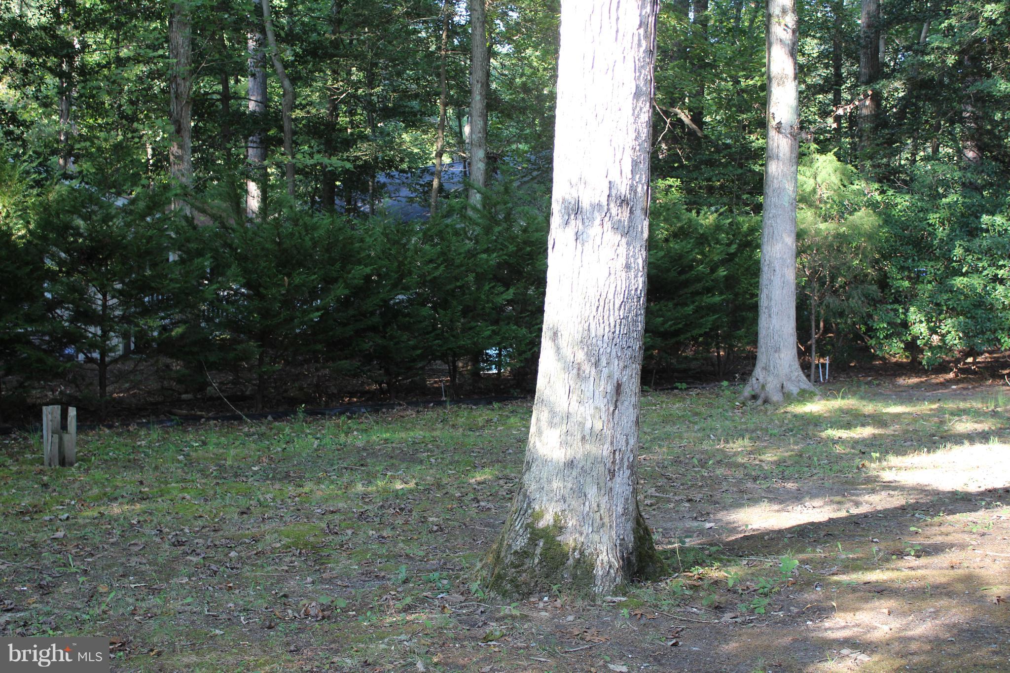 OCEAN PINES - HUNTINGTON - Residential