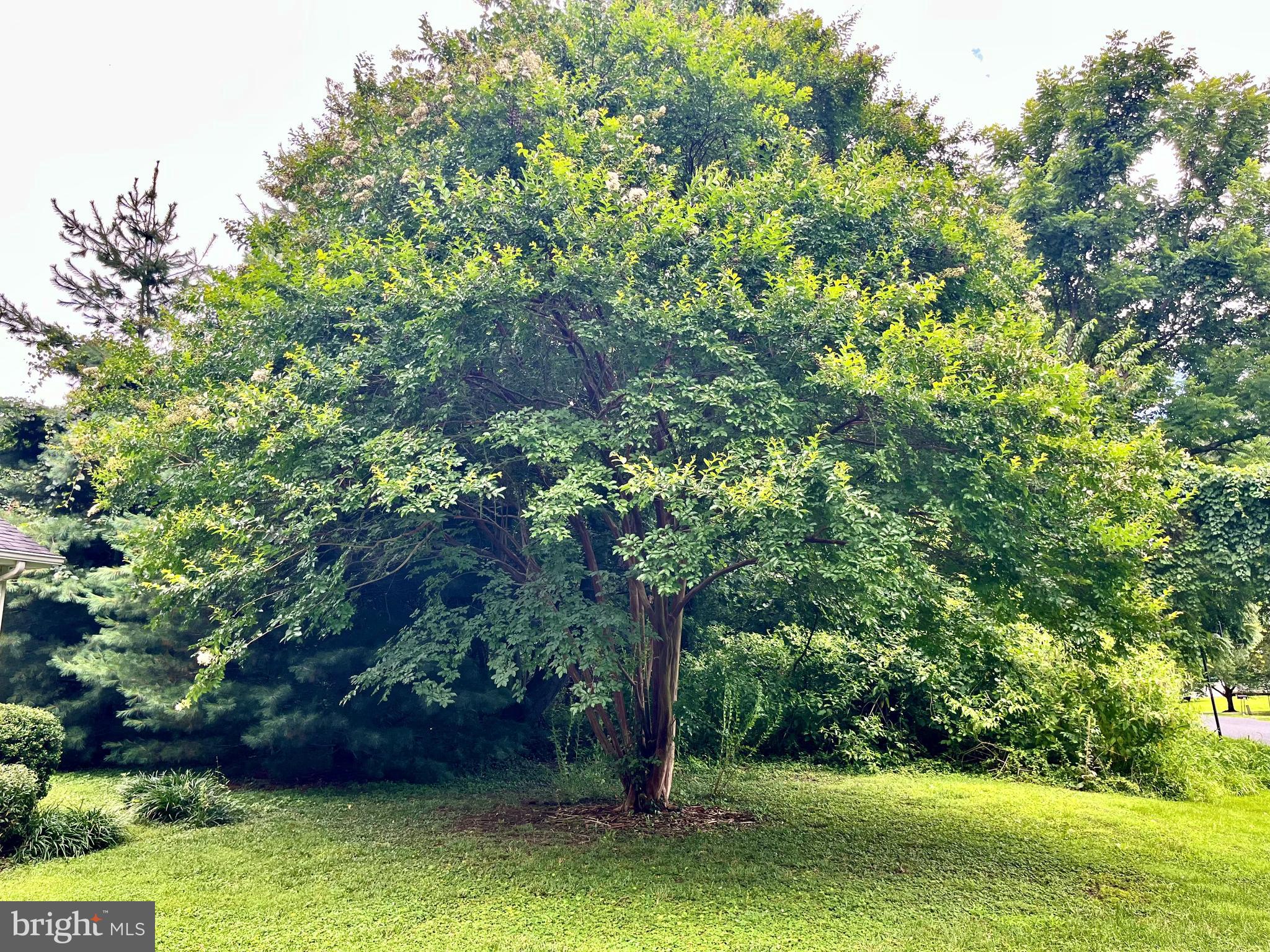 CHESTER HARBOR - Residential
