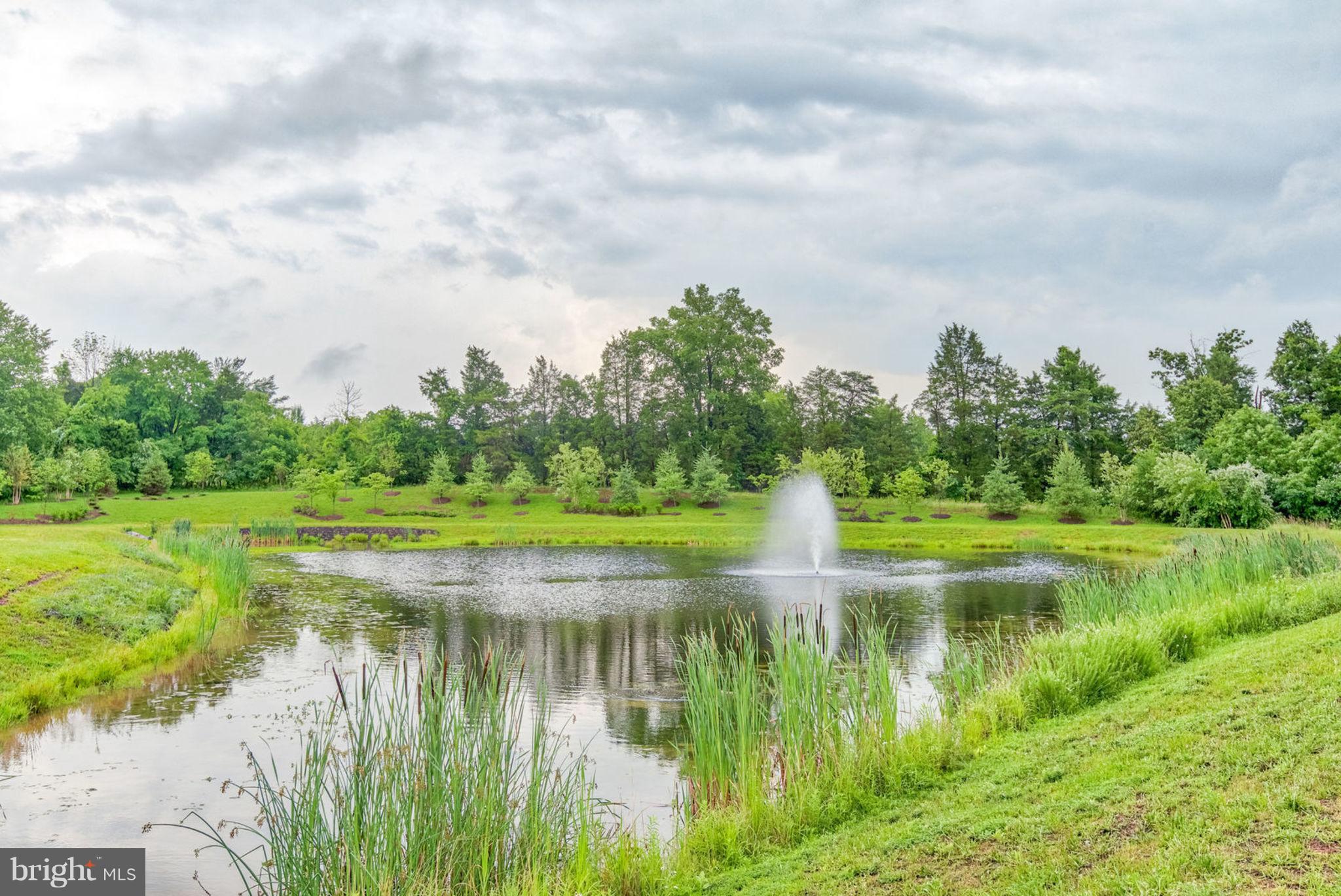BELMONT ESTATES - Residential