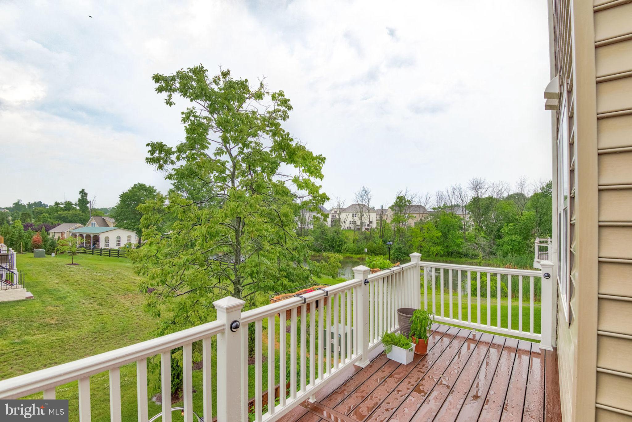 BELMONT ESTATES - Residential