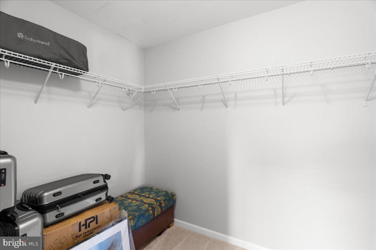 NORBORNE GLEBE - Residential