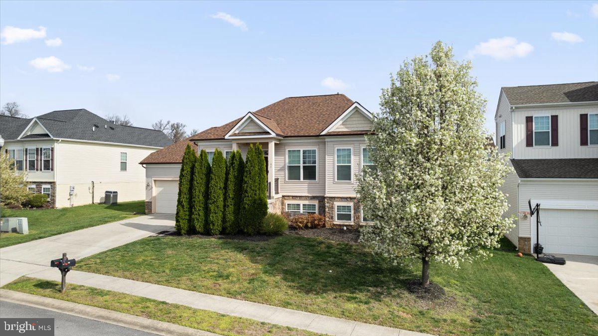 NORBORNE GLEBE - Residential