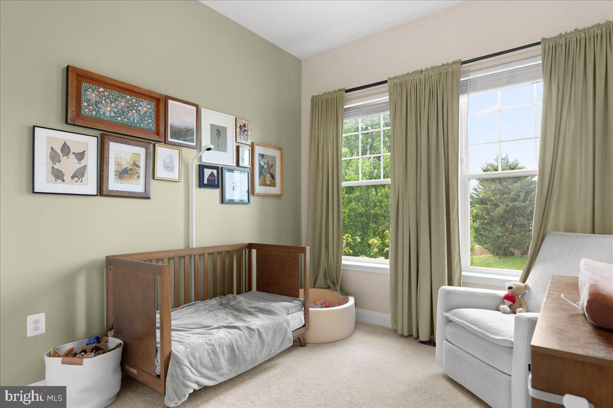 NORBORNE GLEBE - Residential