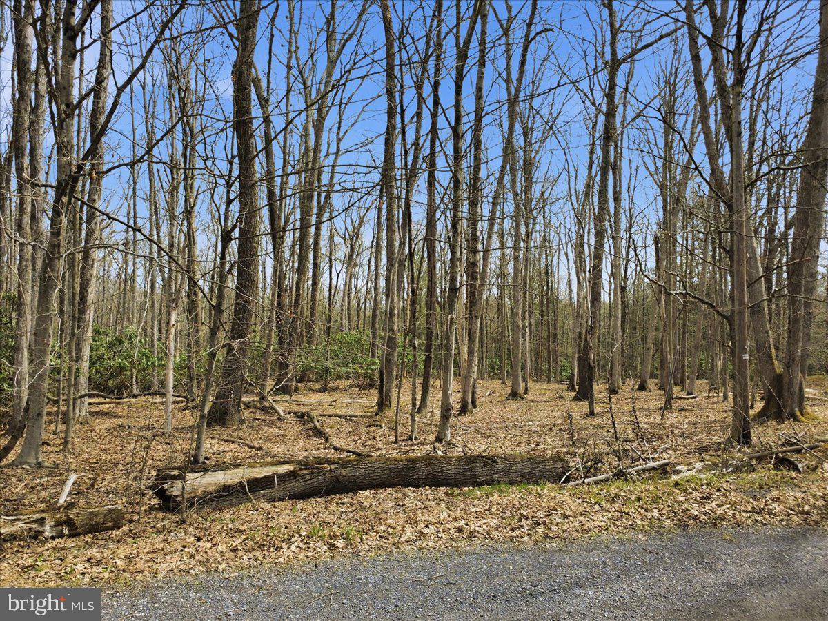 HOLIDAY POCONO - Residential
