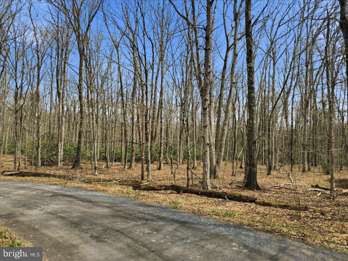 HOLIDAY POCONO - Residential