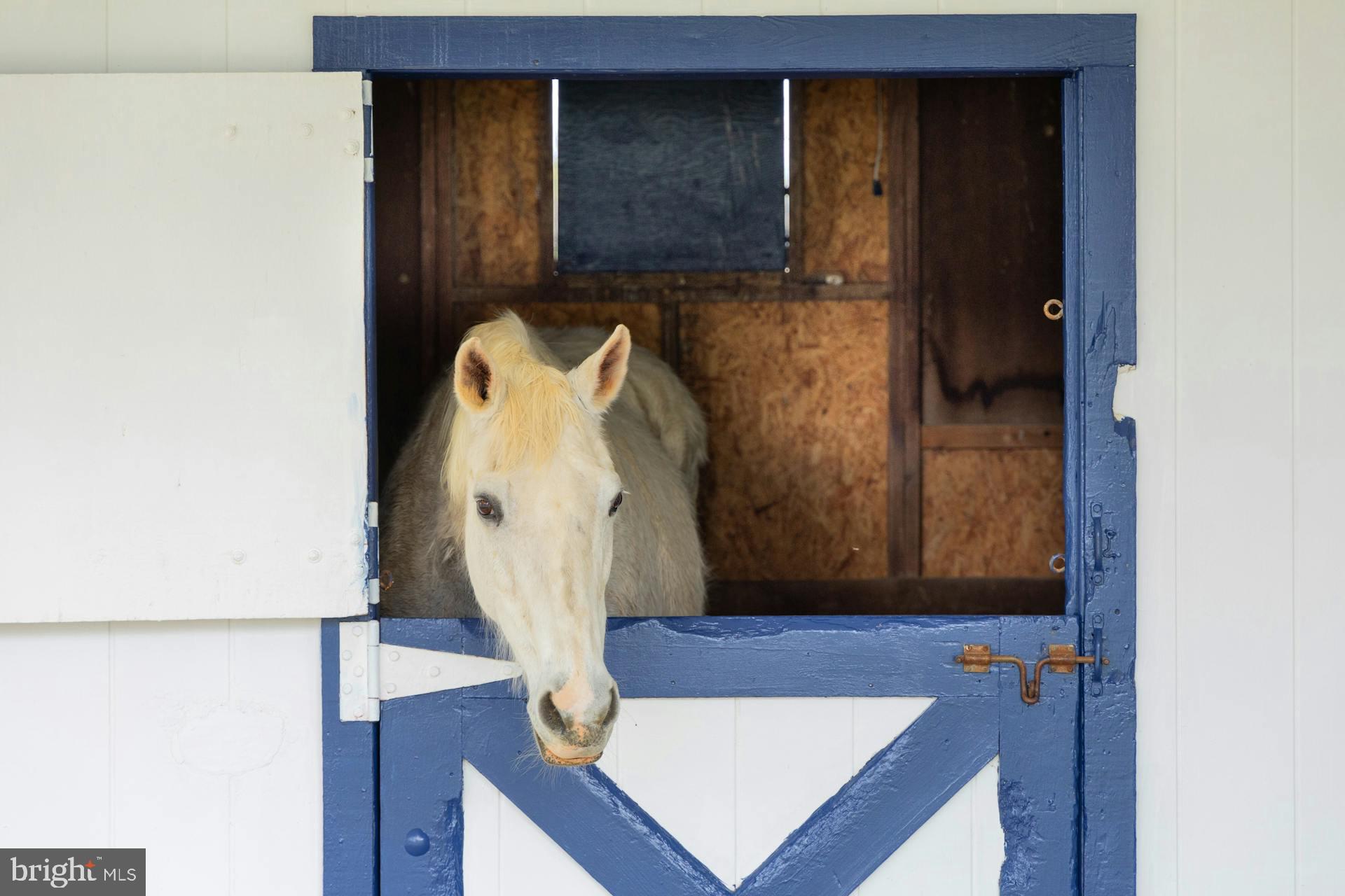 CLOVERLEAF FARM ESTATES - Residential
