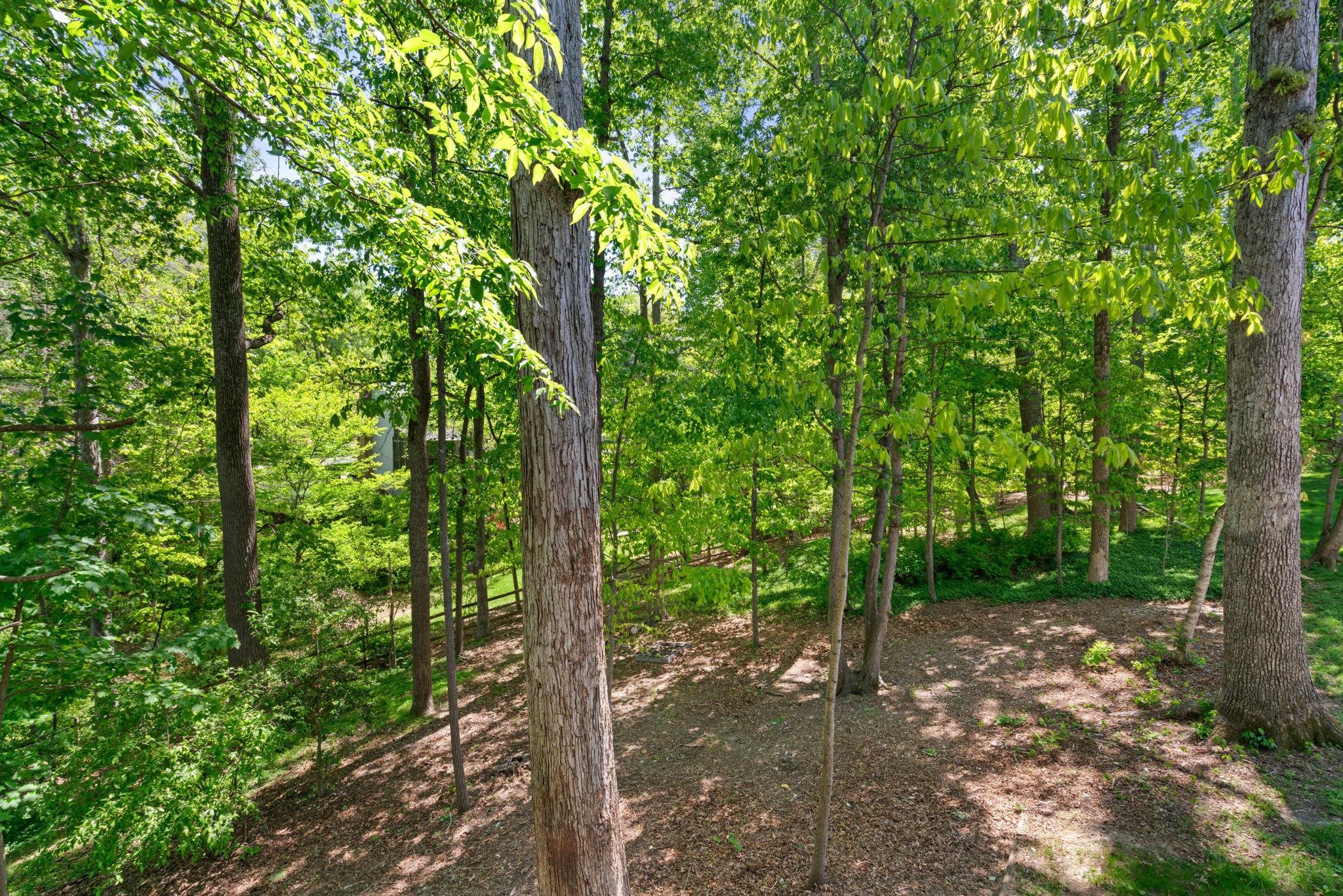 LAKE RIDGE - Residential