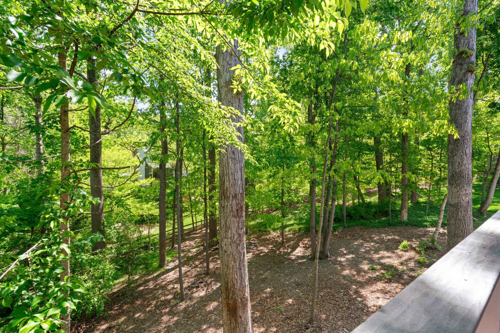 LAKE RIDGE - Residential