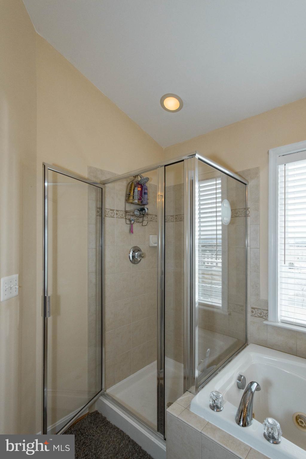 BLUE RIDGE SHADOWS - Residential