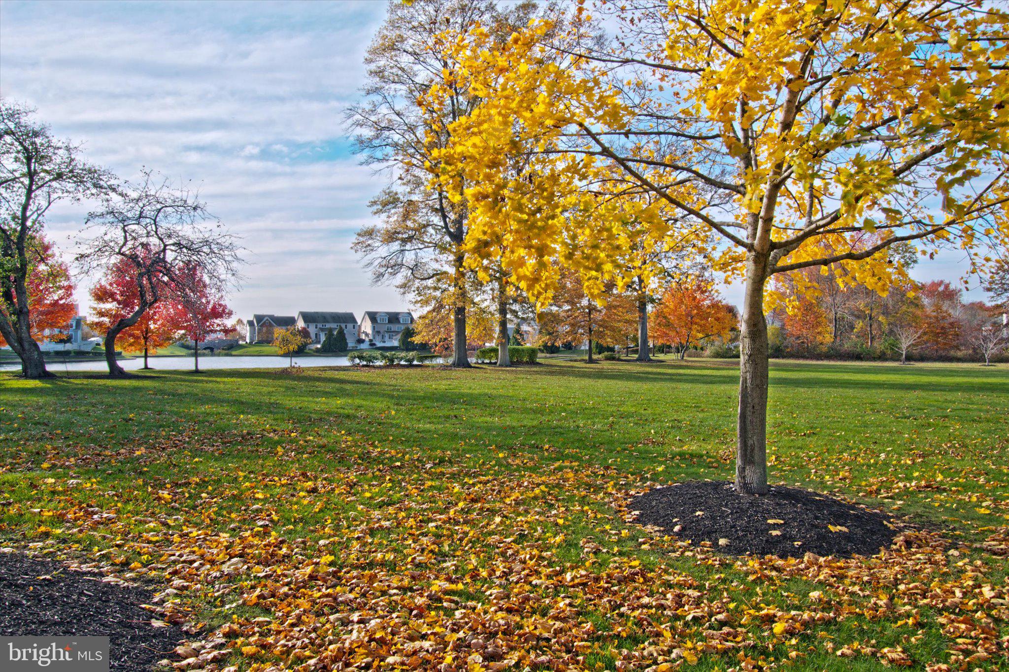 TOWN CENTER - Residential