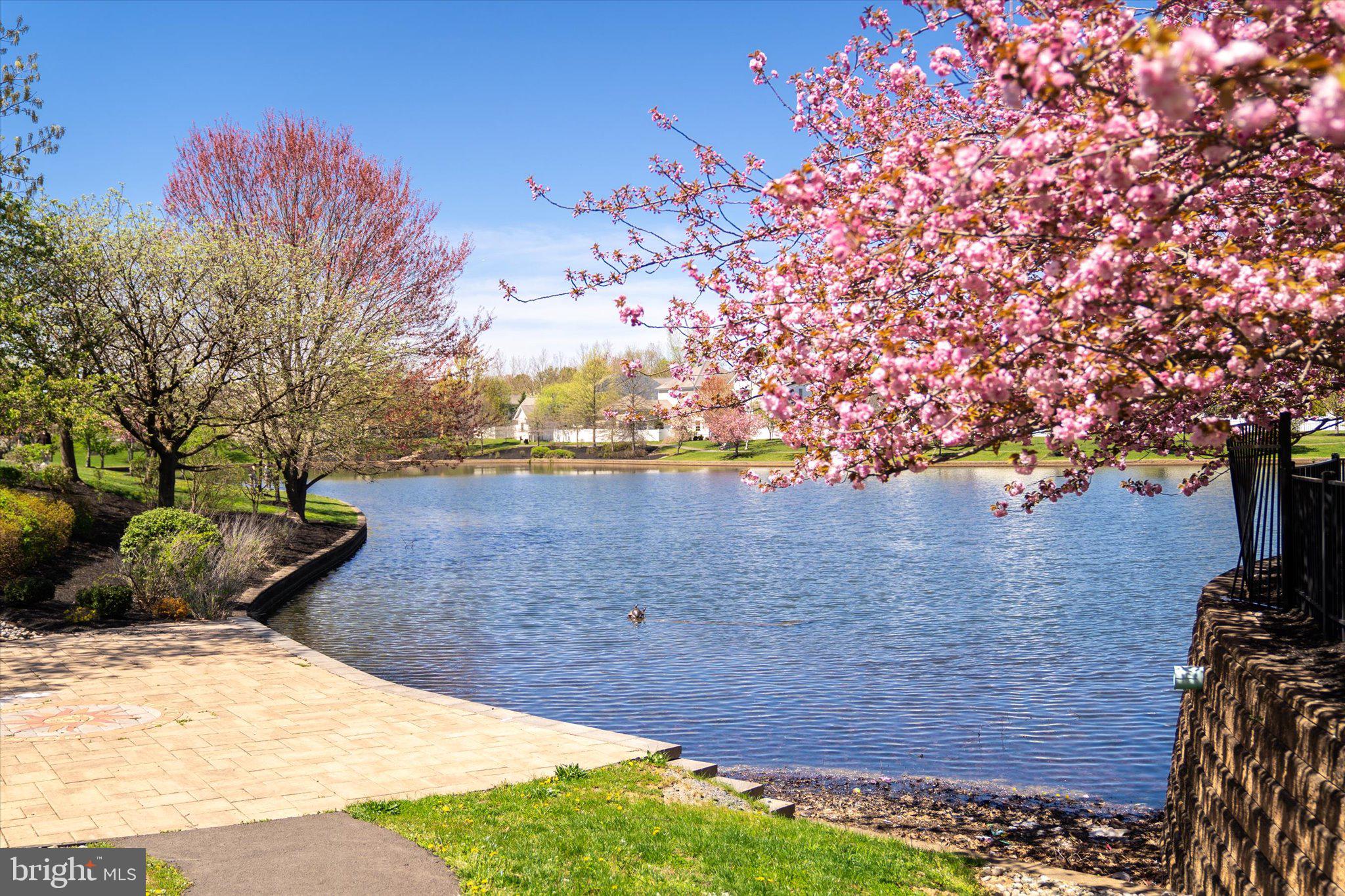 TOWN CENTER - Residential