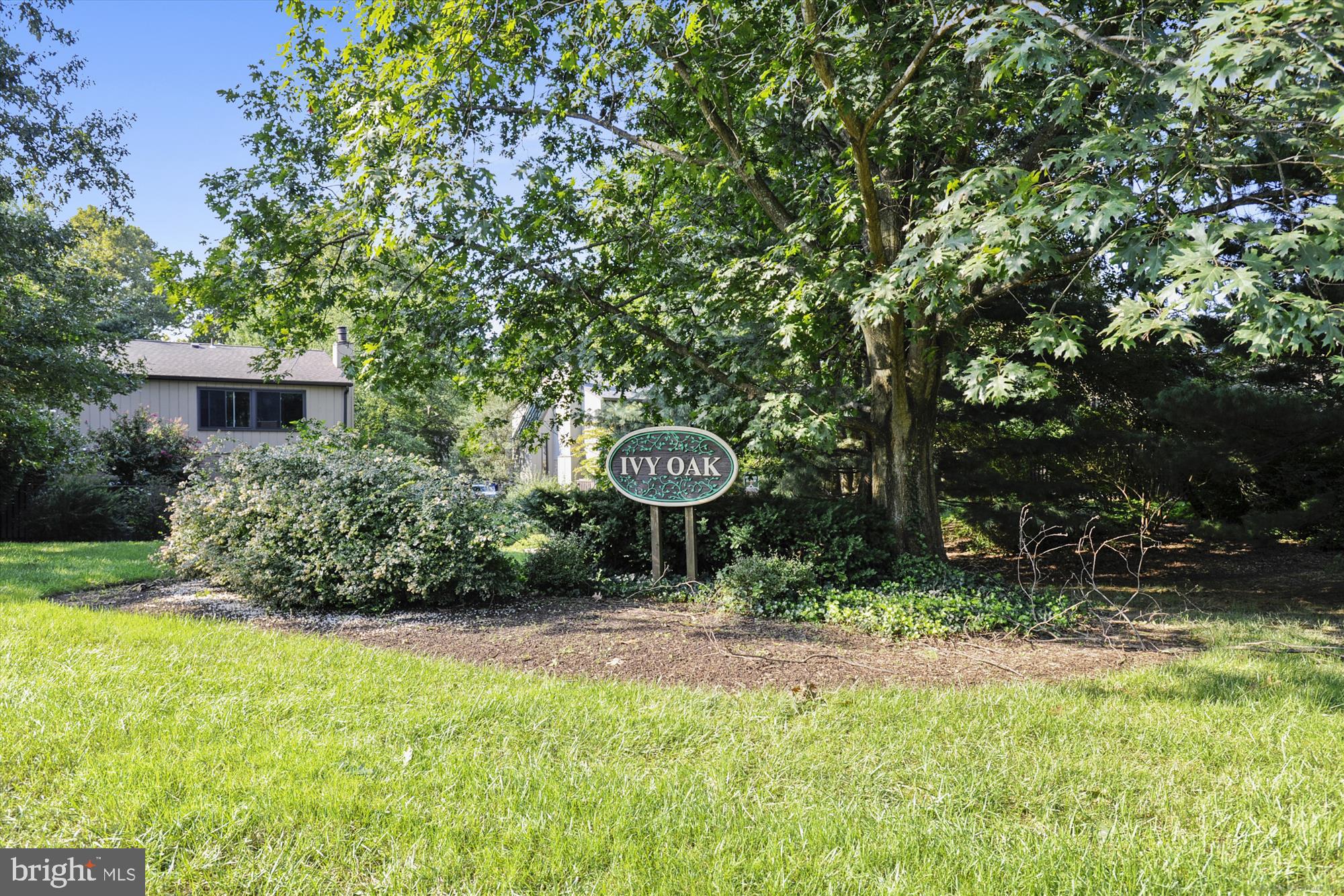 IVY OAK - Residential