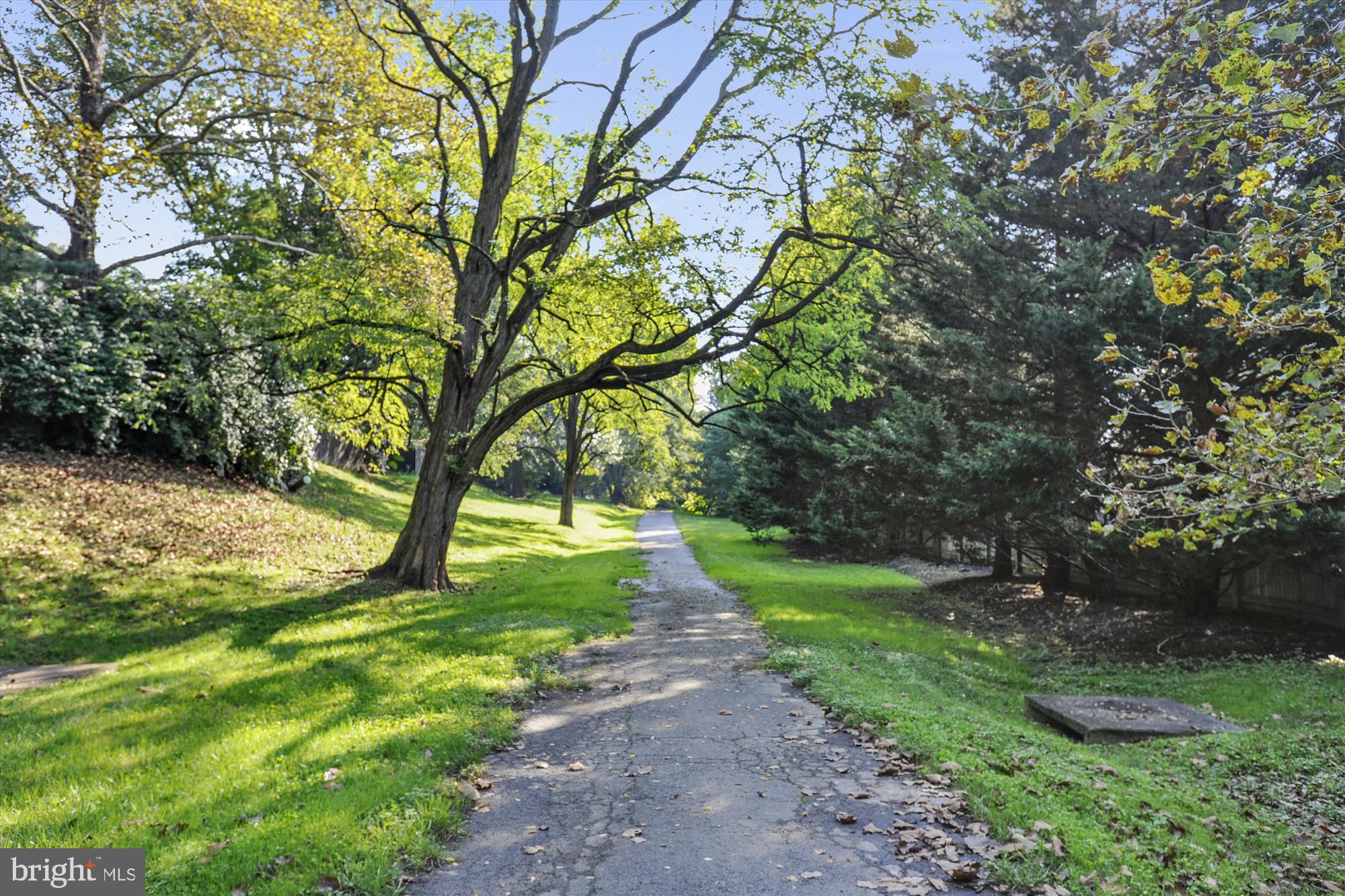 IVY OAK - Residential