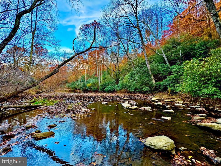 "175 AC on Three Forks" Beautiful RIVER property with ridge and bottomland accompanied by a MILE +/- of both sides of Three Forks Creek just upstream from the stocked trout section and Fortney Mills. Newly established trail system down to river. Multiple home & cabin sites! Secluded acreage with excellent hunting for deer, bear, and turkey. County Road frontage and electric nearby. 14 +/- miles to Tygart Lake State Park. 19 +/- miles to Morgantown. 26 +/- miles to Clarksburg Airport and everything Bridgeport has to offer. Additional joining tracts available.