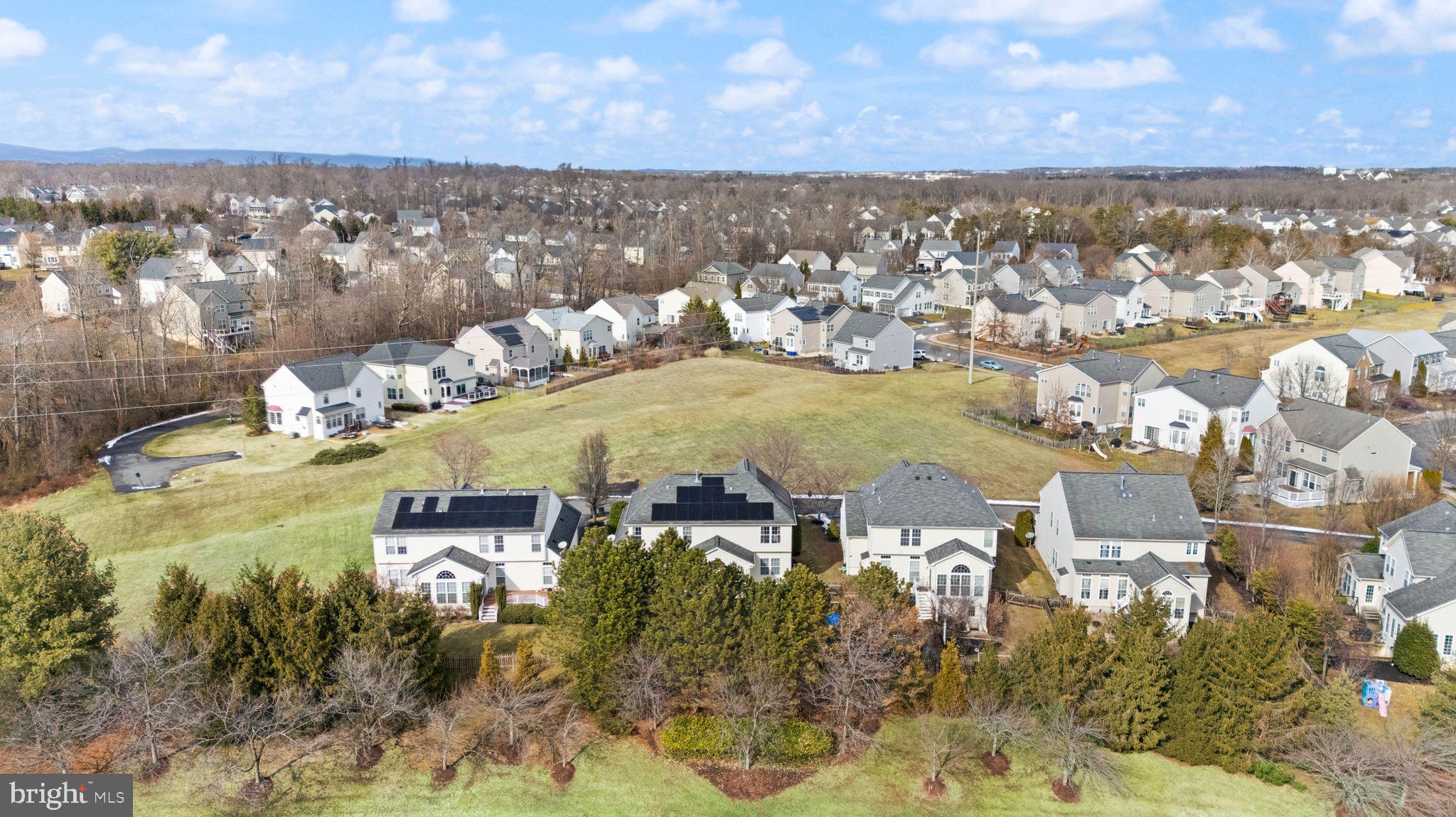 MEADOWS AT MORRIS FARM - Residential