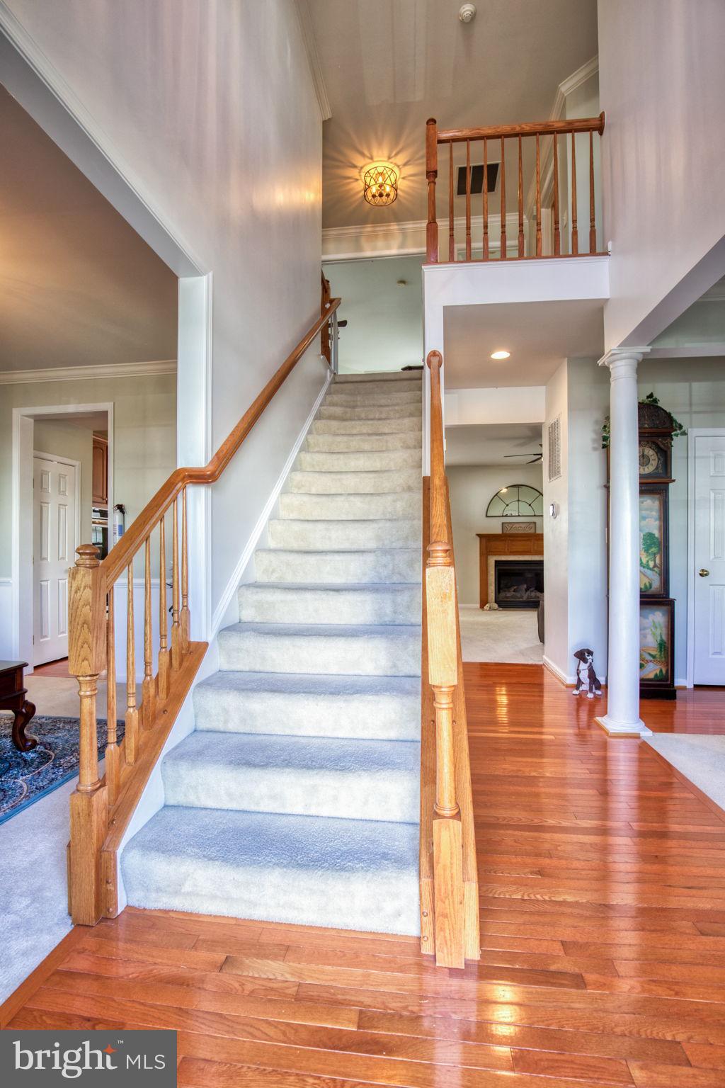 PORT POTOMAC - Residential