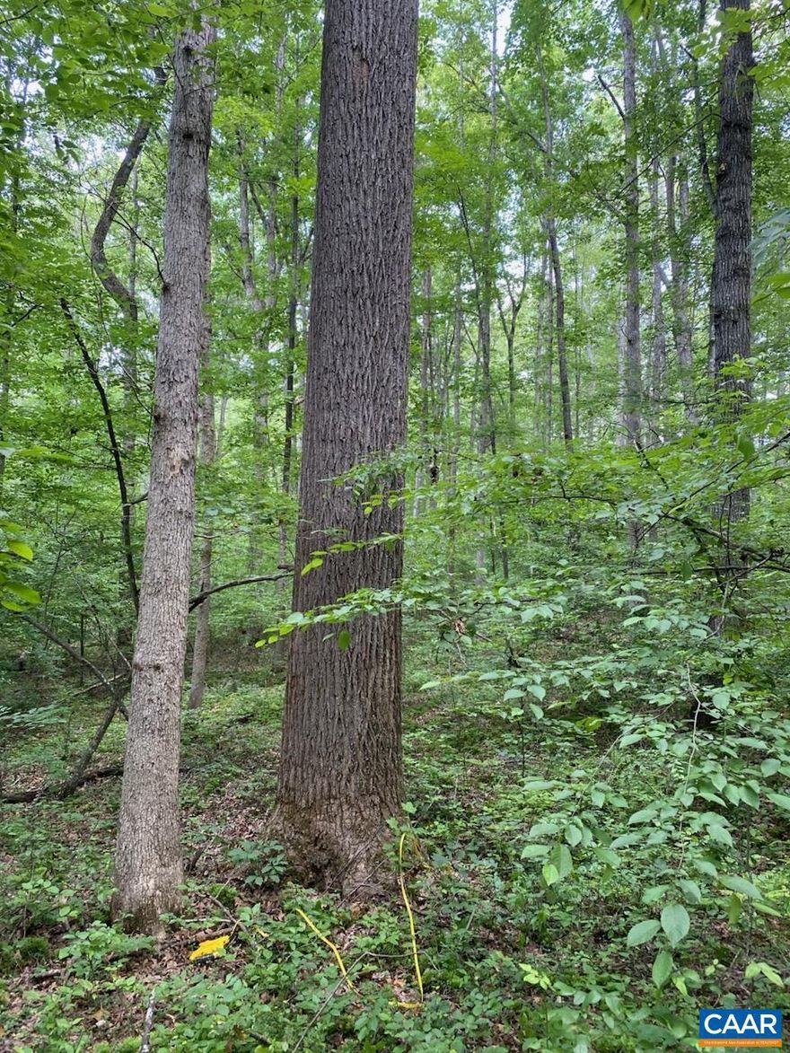 Over 3 acres of mature hardwood timber stand located just minutes from the town of Louisa and Interstate 64. This idyllic lot on Waldrop Church Road boasts hundreds of feet of frontage on Harris Creek and gentle sloping contours across the lot. Soil work is complete with approval for a conventional onsite septic system!