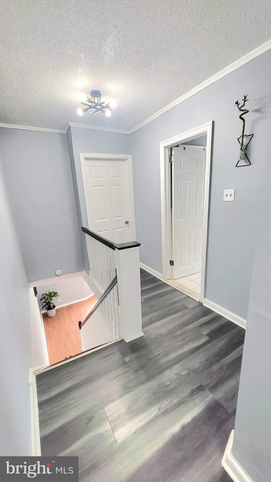 CASTOR GARDENS - Residential