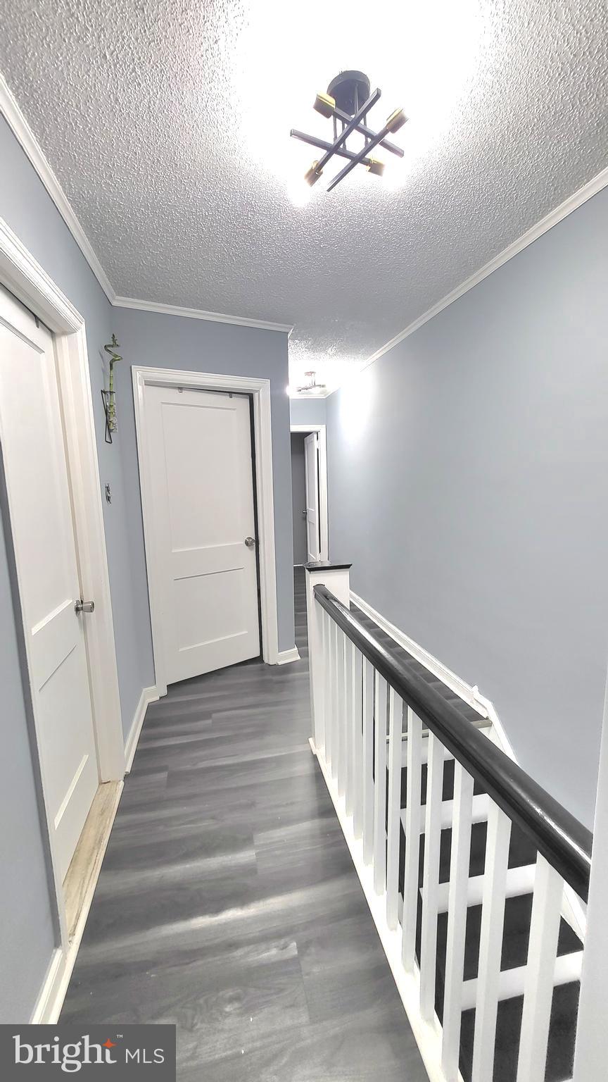 CASTOR GARDENS - Residential