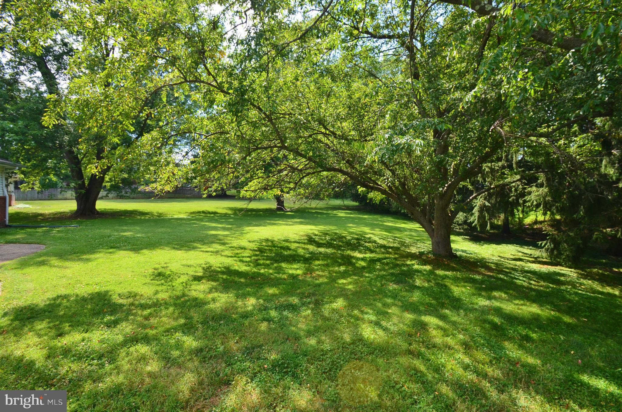 STEVENSON AT ANTON FARM - Residential