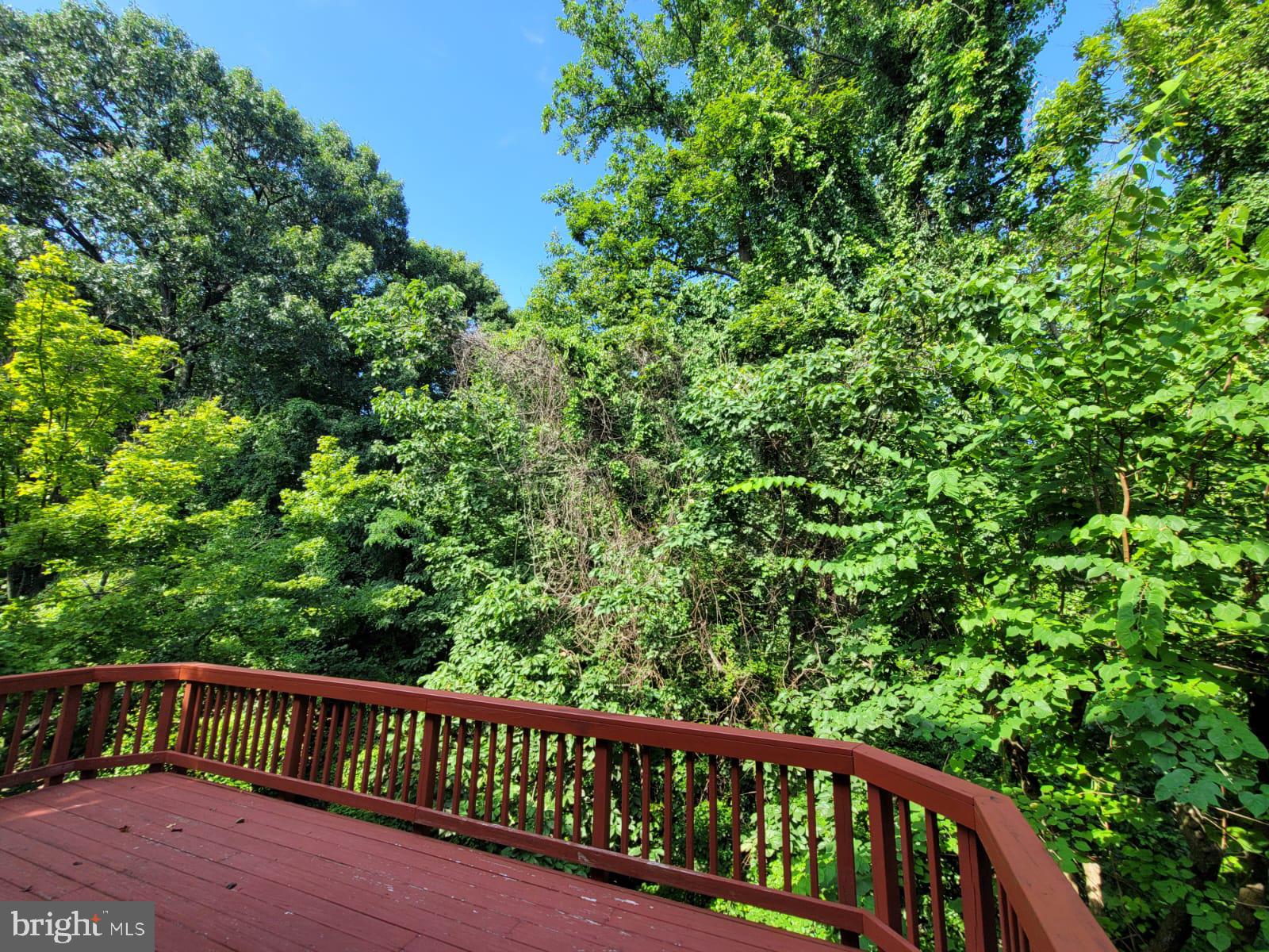 KINGSTOWNE - Residential Lease