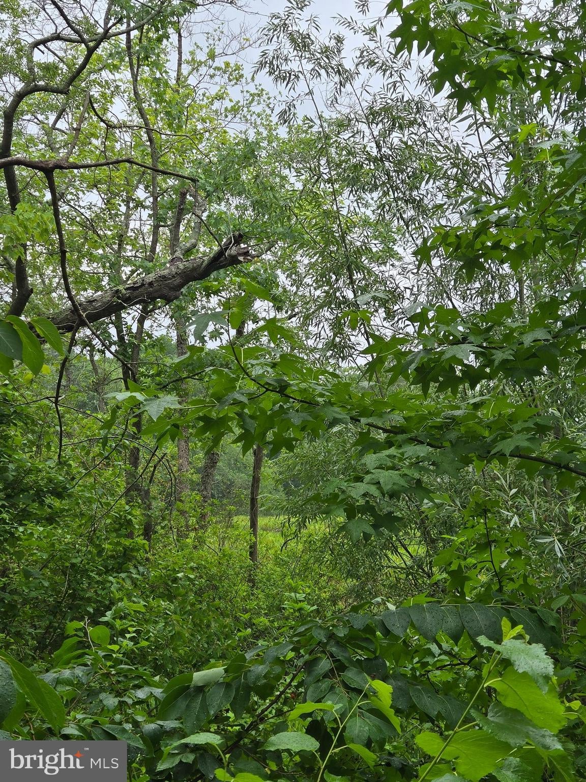 COOPER ROAD