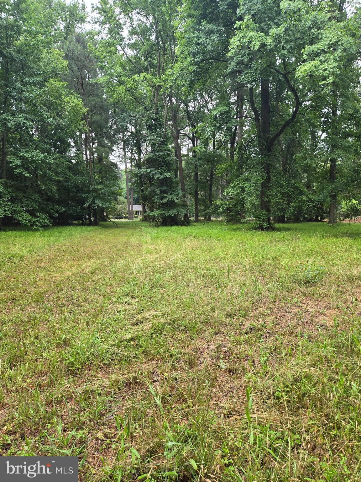 COOPER ROAD