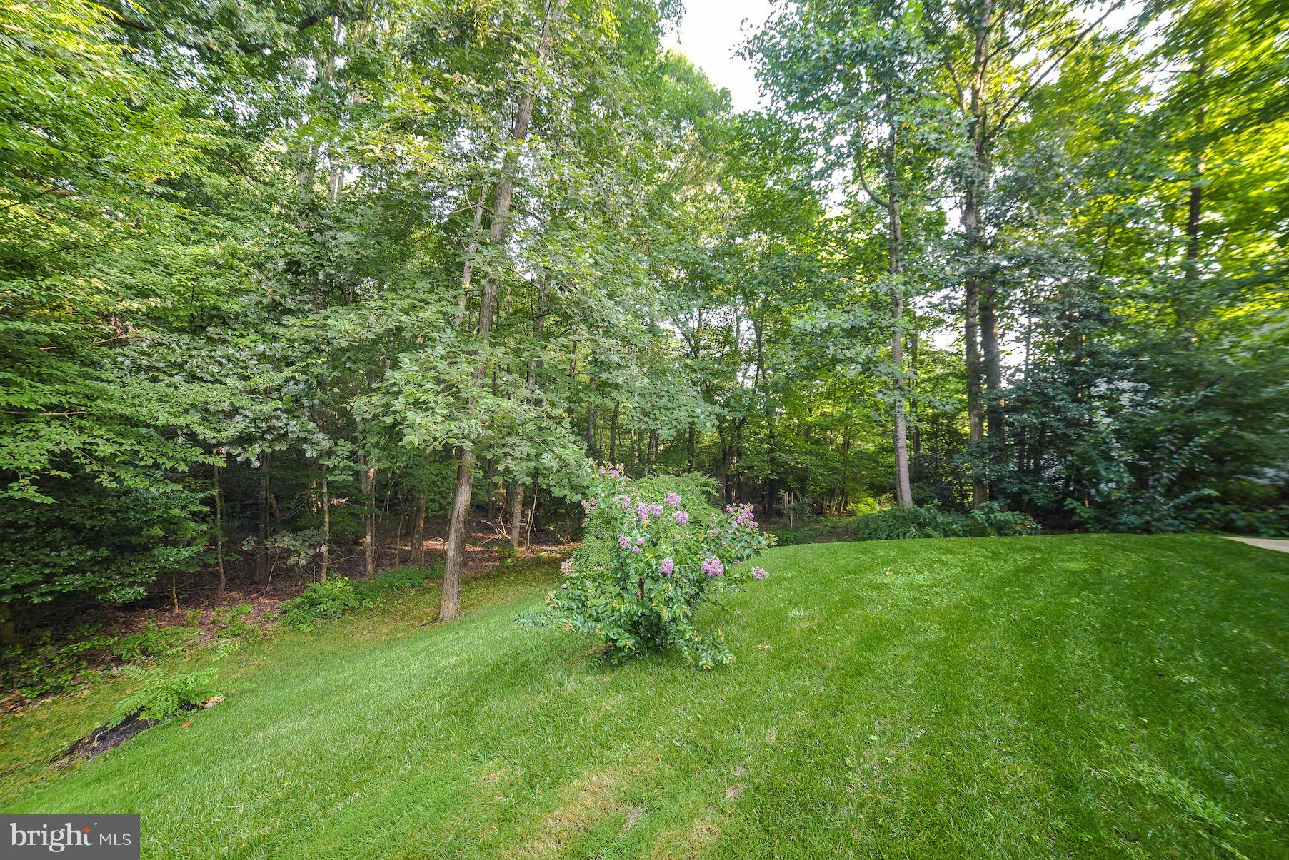 PEPPER RIDGE OF WILDEWOOD - Residential